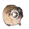 mailapplezsfw