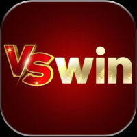 VSWINVin