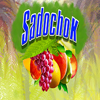 isadacokii